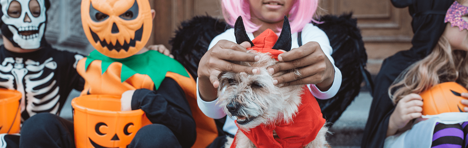 Close up of a small furry dog dressed as a devil for halloween sitting with children in costumes and holding candy buckets