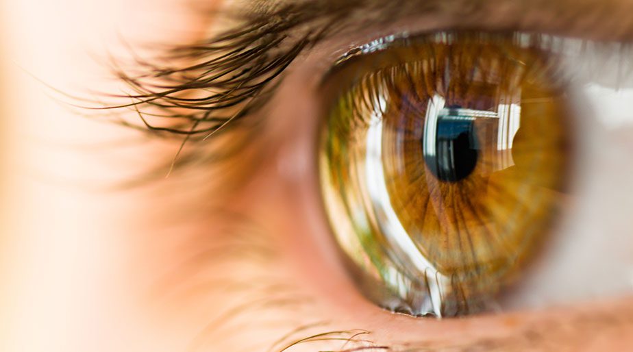 A closeup of an amber eye.