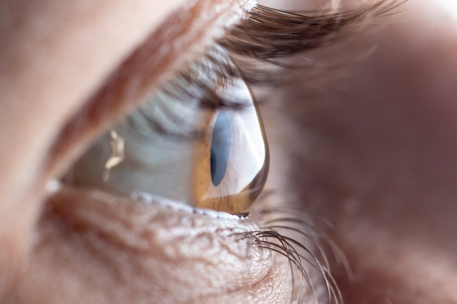 Shot from the side, a golden-brown eye that is slightly shaped like a cone.