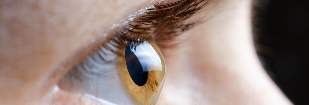 Shot from the side, a close up of a golden brown eye with long brown eyelashes
